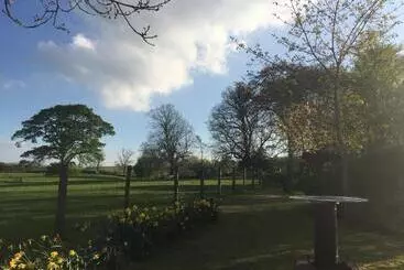 Bed and Breakfast Beech House