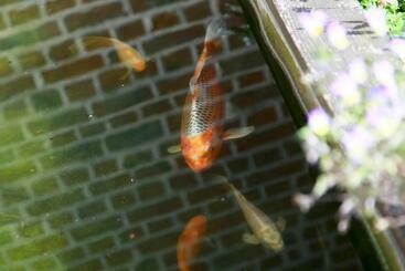 민박 Chambres Du Marais