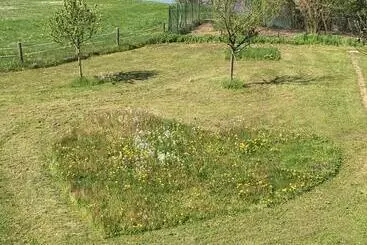 Aamiaismajoitus (B&B) Scherauer Hof