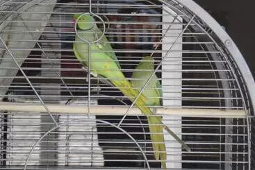 Majatalo Lobateira Villas