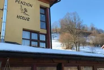 Majatalo Penzión Holub