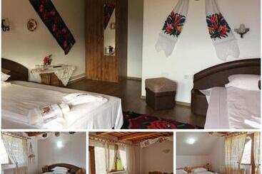 Pensiunea Ileana Teleptean