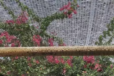 ホテル Scallywags Smugglers