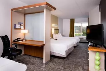 Hotel Springhill Suites Pittsburgh Southside Works