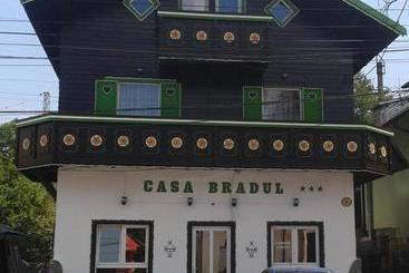 Pension Casa Bradul