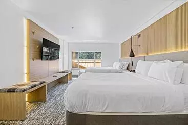 호텔 The Evergreen