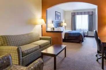 Otel Comfort Inn And Suites Winnie