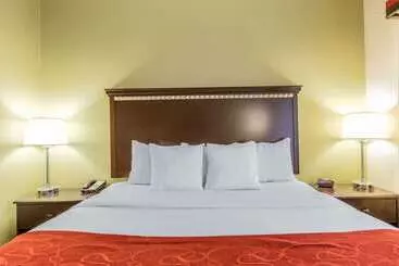 Hotel Comfort Suites Locust Grove Atlanta South