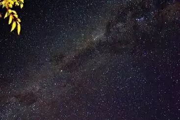 Bed and Breakfast Te Mahuru Retreat