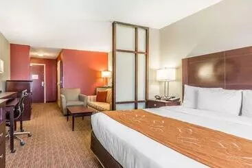 Отель Comfort Suites