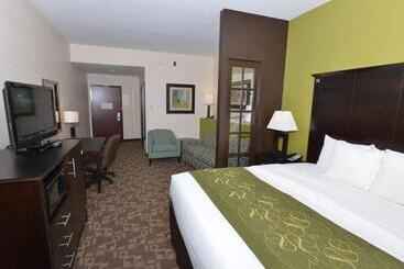 酒店 Comfort Suites Lake City