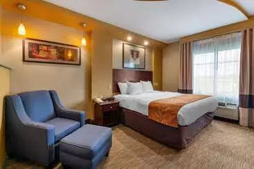 בית מלון כפרי Comfort Suites Perrysburg  Toledo South