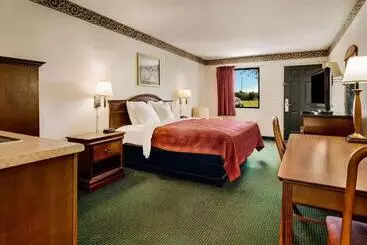 ホテル Rodeway Inn