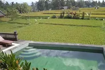 Hotell Ala S Green Lagoon