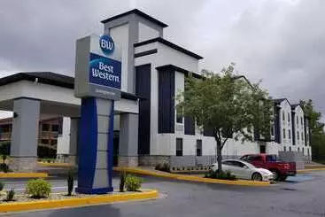 هتل Best Western Lexington Inn
