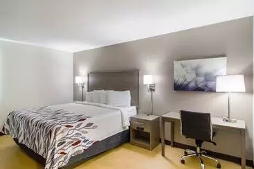 בית מלון כפרי Red Roof Inn I 95 North Brunswick Darien