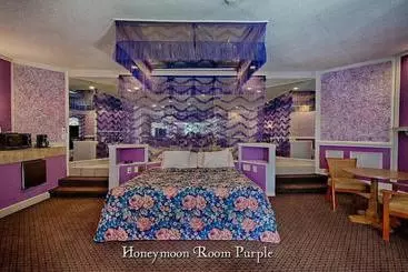 Отель Inn of The Dove