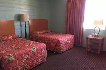 מוטל Dolphin Inn