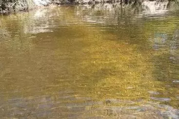 ペンション Pousada Sempre Luz