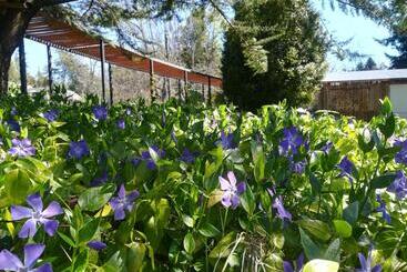 Bed & Breakfast Entre Nous