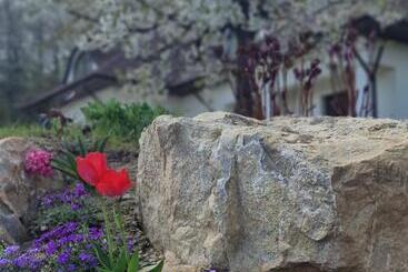 هتل Provence Suceava