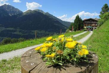 旅馆 Alpengasthaus Gleinserhof