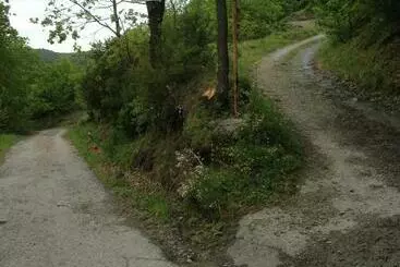 ベッドアンドブレックファースト Ca  De L Ase