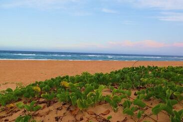 Hotel The Blue Whale