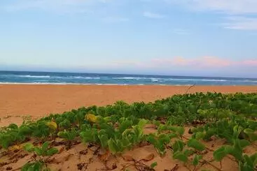 Hôtel The Blue Whale