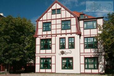 فندق Villa Alexandra