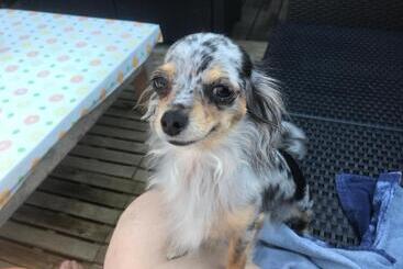 민박 Chalet Esprit