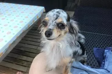 ベッドアンドブレックファースト Chalet Esprit