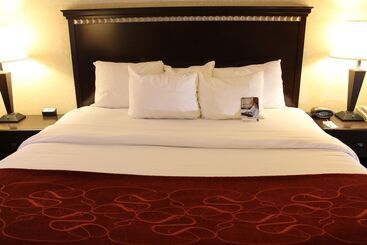 호텔 Comfort Suites