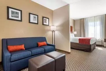 호텔 Comfort Inn & Suites Navasota