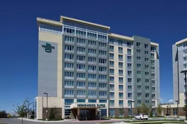 Hotel Homewood Suites By Hilton Calgary Airport, Alberta, Canada