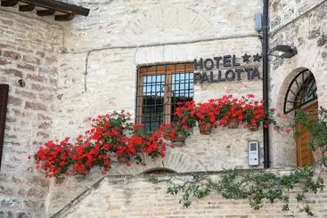 Hotel Pallotta