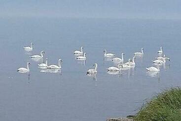 Pensão Takvåning Borgholm
