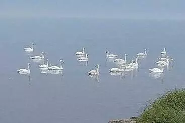 ペンション Takvåning Borgholm