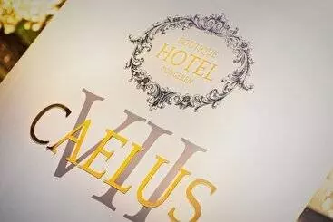 Boutique Hotel Caelus Vii