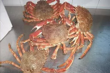 Hotel Ristorante Ai Campi Di Marcello