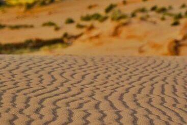 Hotelli Trinità Dei Corsari