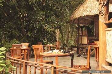 Kurort  The Barefoot At Havelock