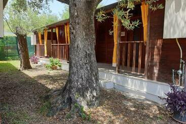 מלון דירות Summer Paradise