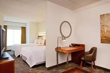 فندق Springhill Suites Chesapeake Greenbrier