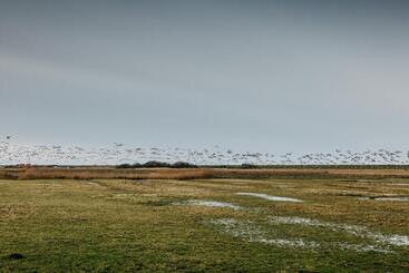 پانسیون Seaside 43