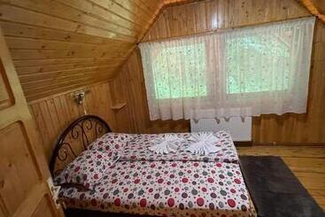 פנסיון Vila Maria Dambovicioara