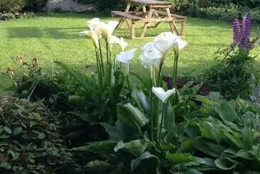 Bed & Breakfast Hillview House