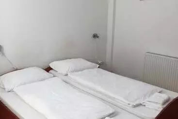 Отель Pensiunea Kristine Sibiu