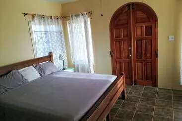 Pensió Coral Turtle