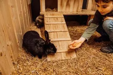 Сельский дом Erlebnisgut & Reiterhof Oberhabach